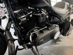 Harley-davidson SOFTAIL 2021 