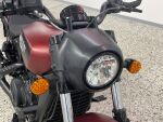 Indian SCOUT 2023 