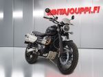 Triumph SCRAMBLER 2022 