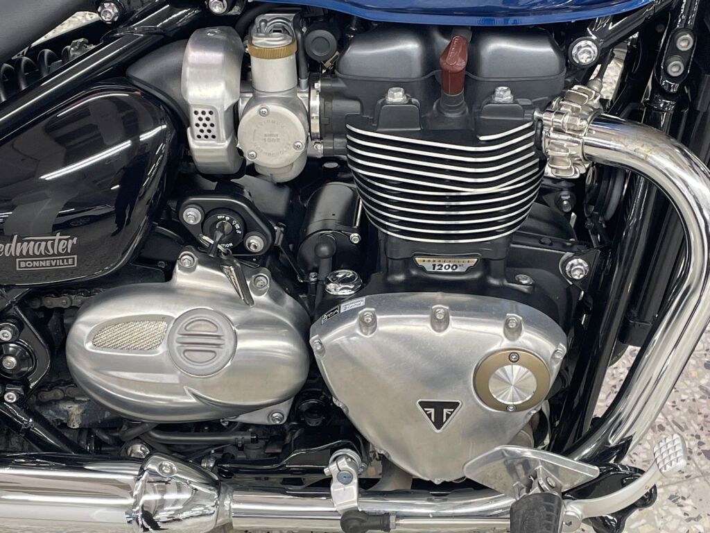 Triumph SPEEDMASTER 2020 