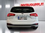 Ford Focus 2019 Valkoinen