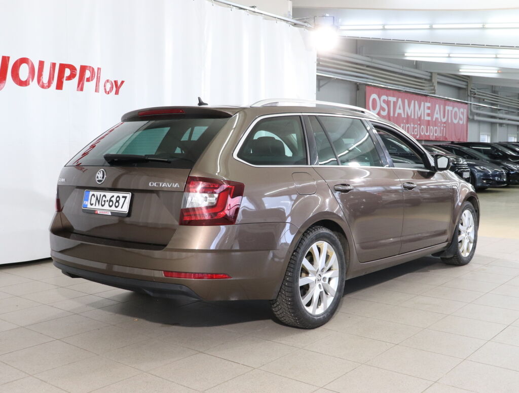 Skoda Octavia 2019 Ruskea (beige)