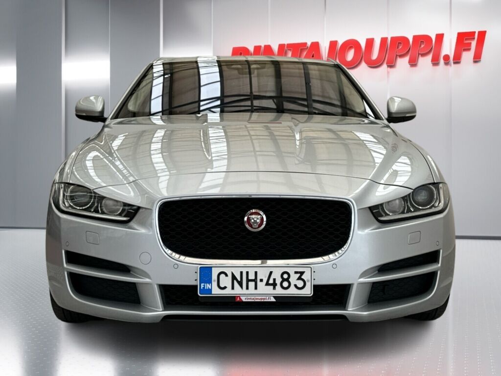 Jaguar XE 2015 Hopea