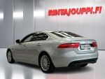 Jaguar XE 2015 Hopea