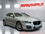 Jaguar XE 2015 Hopea