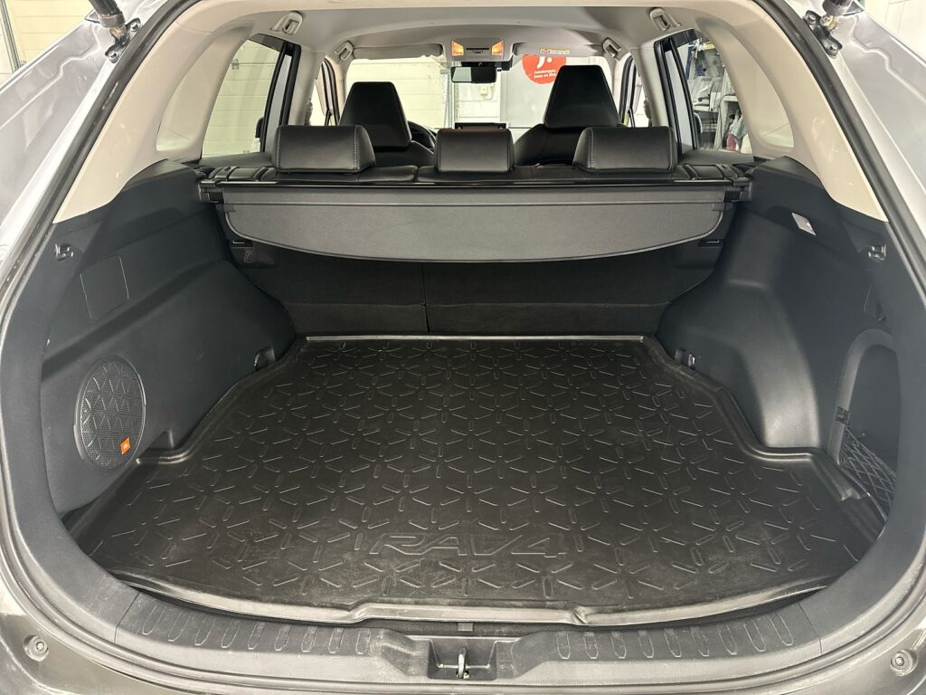 Toyota RAV4 2019 Hopea