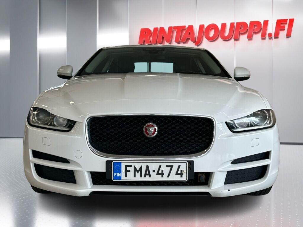 Jaguar XE 2016 Valkoinen