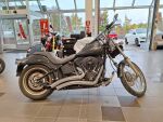 Harley-davidson Softail 2006 8