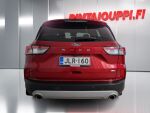 Ford Kuga 2020 Punainen