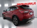 Ford Kuga 2020 Punainen