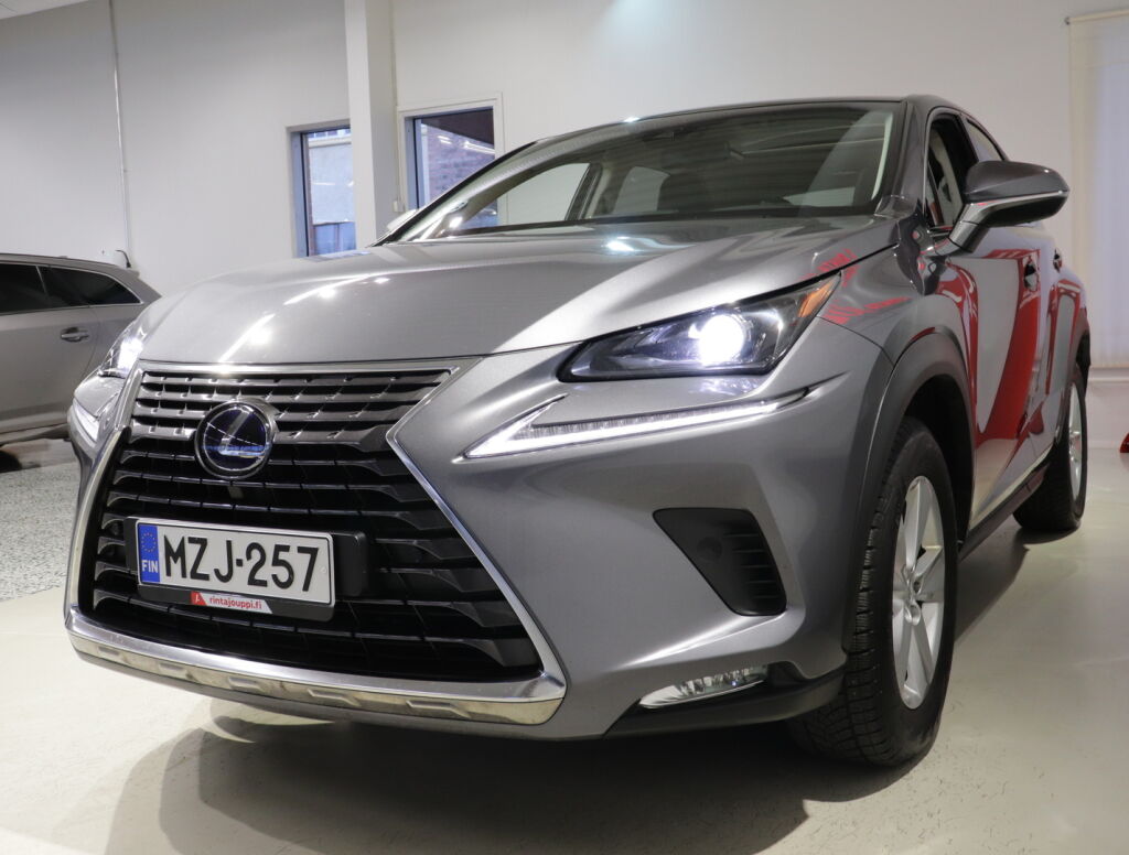 Lexus NX 2018 Harmaa