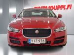 Jaguar XE 2015 Punainen