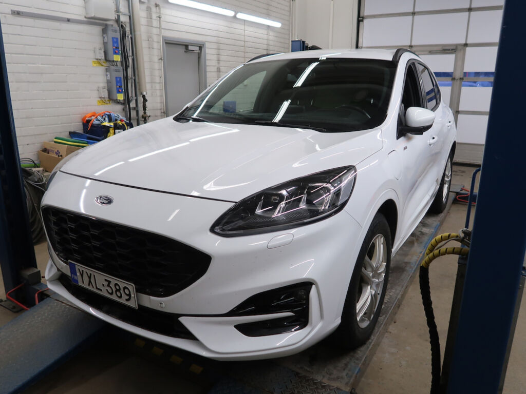 Ford Kuga 2021 Valkoinen